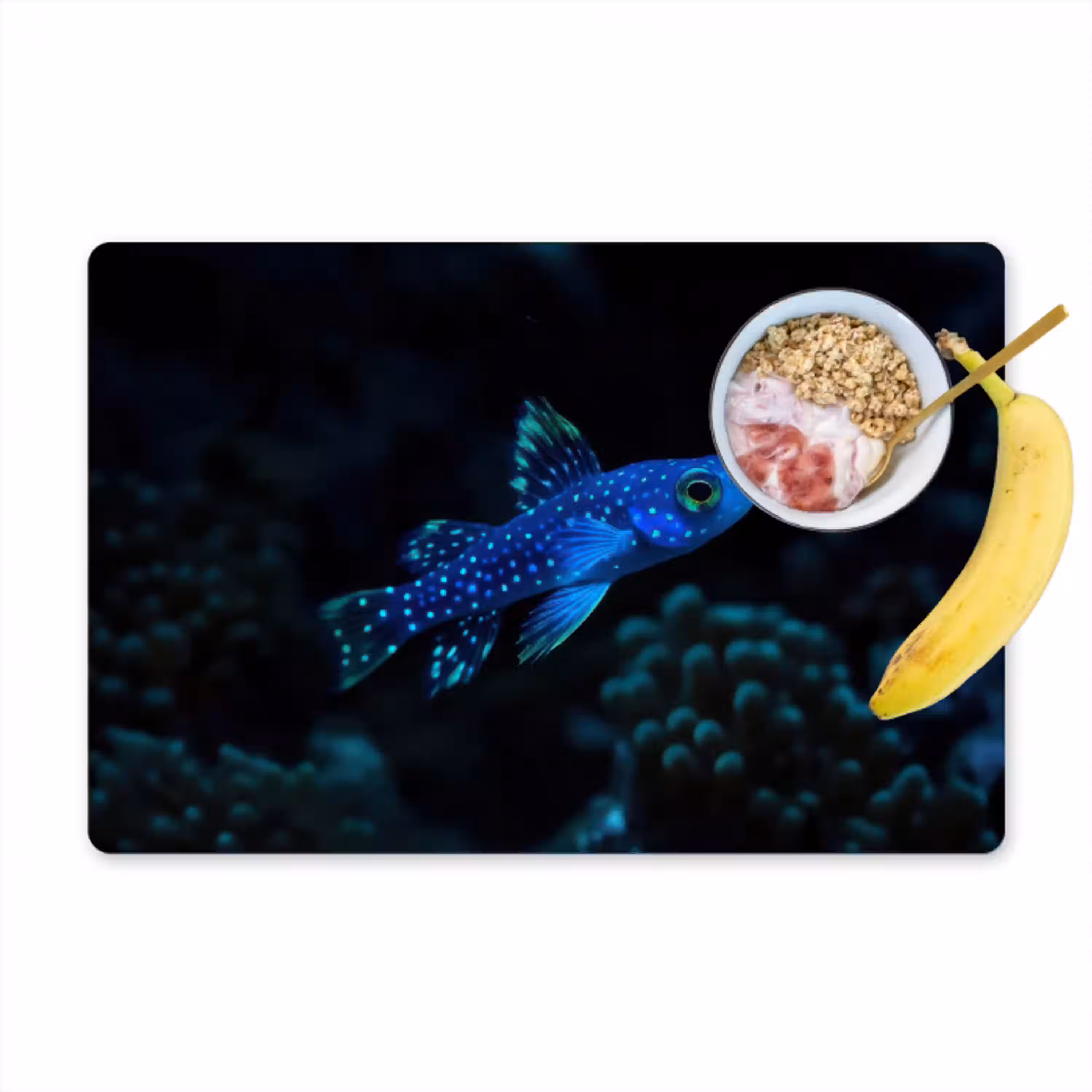 Vis - Stippen - Koraal - Blauw Placemat vinyl groot -zzzproduct_Kitchenyeah-website
