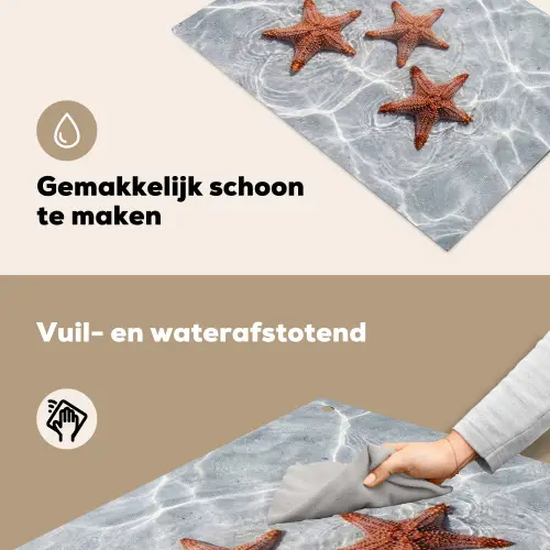 Zeesterren - Water - Helder Inductie beschemer met haakjes klein -ky-schoon-nl