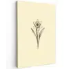 Zwart - Narcis - Illustratie Tuinposter op houten frame 2 cm dik klein -3d
