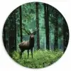 Hert - Bos - Bomen - Dieren - Natuur Wandcirkel kunststof plaat 5mm dik klein -3d