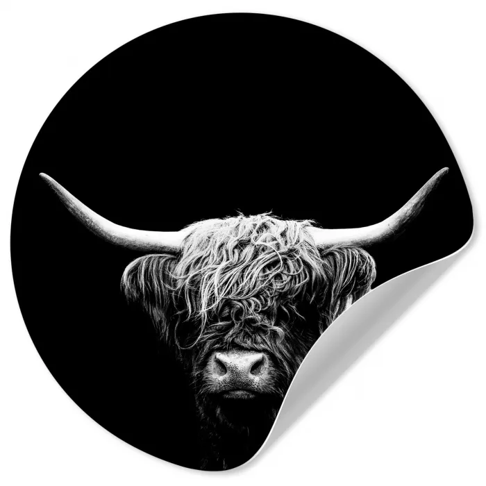 Schotse Hooglander - Koe - Zwart - Wit - Dieren Wandcirkel behangsticker klein -3d