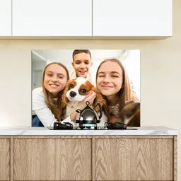 13.png