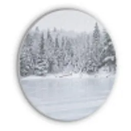 Meer - Dennen - IJs - Winter - Rustgevend Akoestische PET Vilt - Rond klein -3d