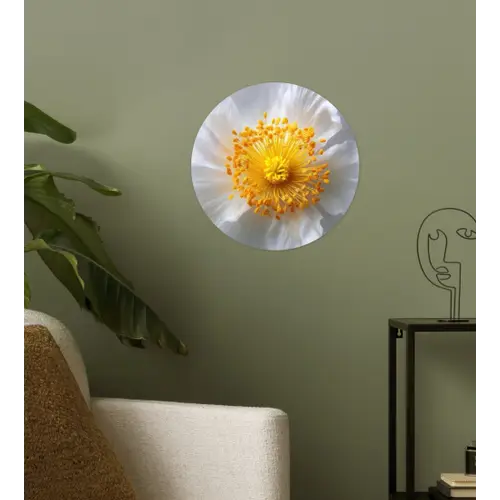 Wit - Bloem - Elegant Wandcirkel behangsticker klein -sfeer2