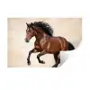 Paard - Galop - Energie Muursticker klein -3d