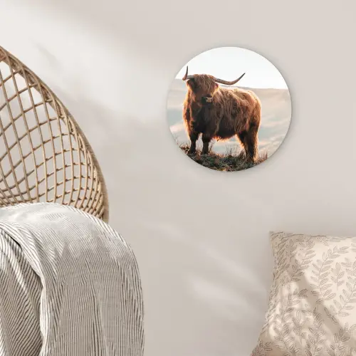 Schotse hooglander - Dieren - Landelijk - Landschap - Koe - Natuur Wandcirkel kunststof plaat 5mm dik klein -sfeer5