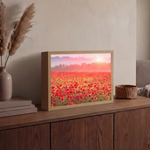 Bloemen - Klaprozen - Rood - Bloemenveld Light Box met batterij (Wandlamp) middel -sfeer2