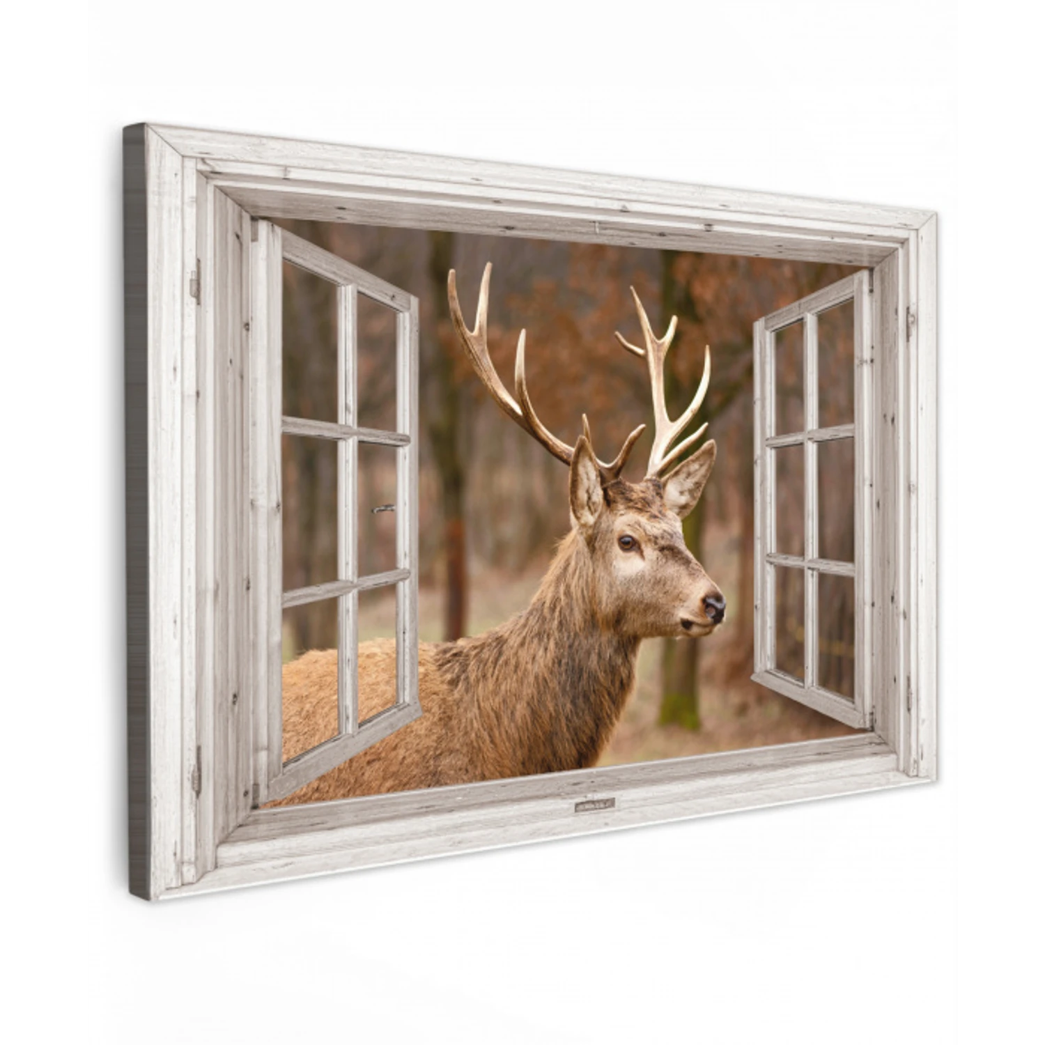 Hert - Dier - Bos - Herfst - Hertenkop - Bruin - Doorkijk Tuinposter op houten frame 2 cm dik klein -3d
