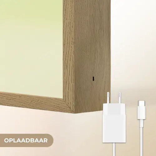 Groen - Disco - Decoratie - Appel Light Box met batterij (Wandlamp) middel -USP_websiteoplaadbaarNL
