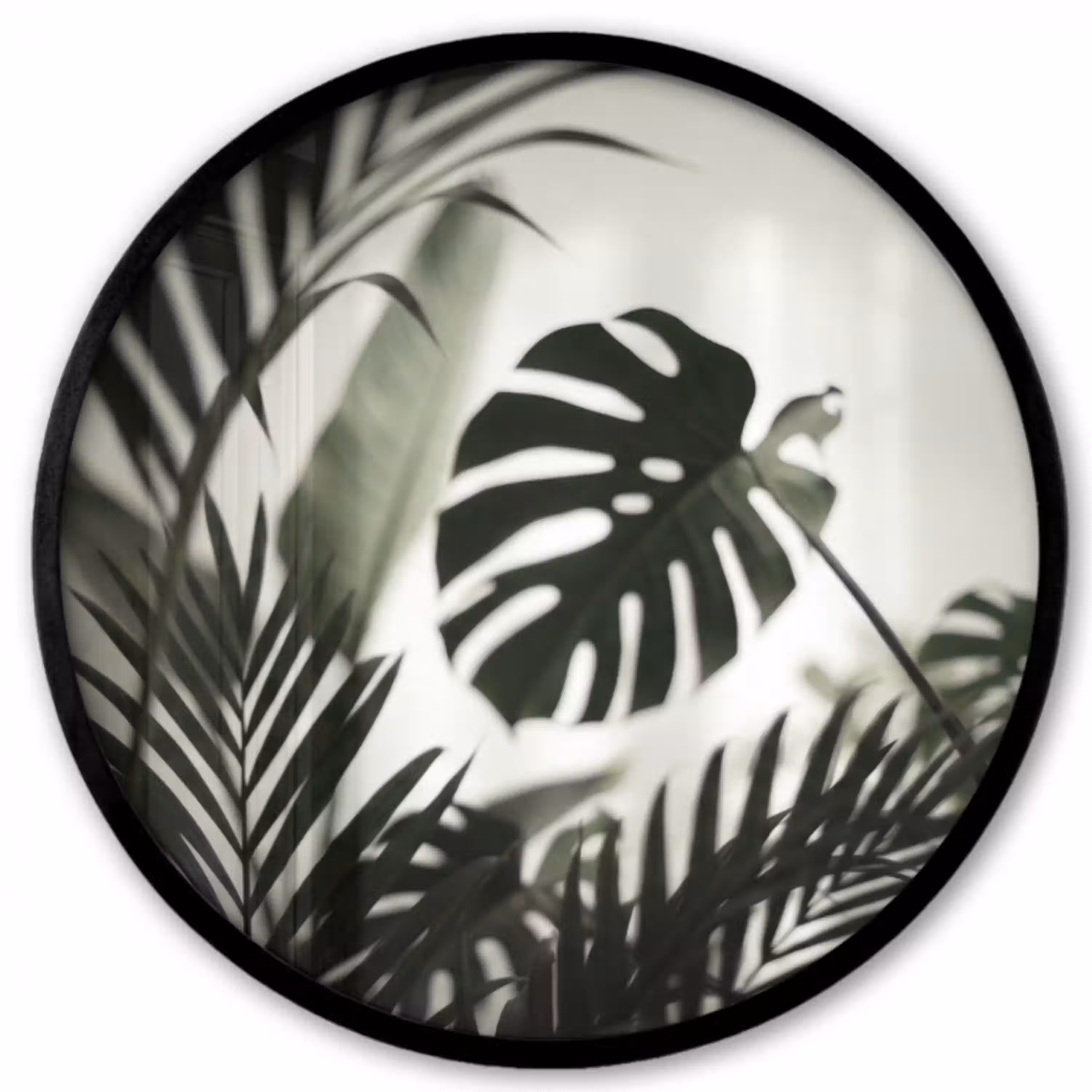 Planten - Bladeren - Natuur - Minimalistisch - Groen Fotolijst rond zonder passe partout klein -3d