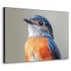 Kleurrijk - Vogeltje - Veren - Blauw Textielframe zwart klein -3d