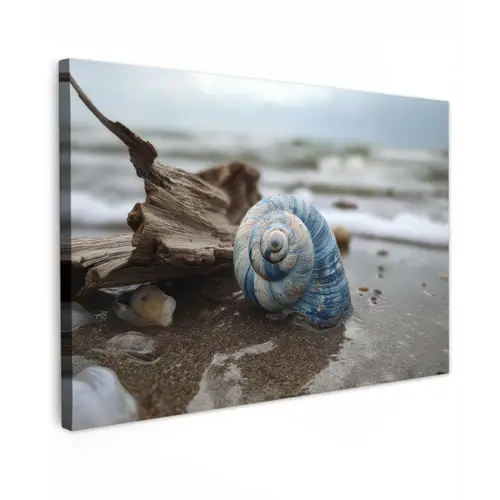 Schelp - Strand - Blauw - Zee canvas 2cm klein -z3d