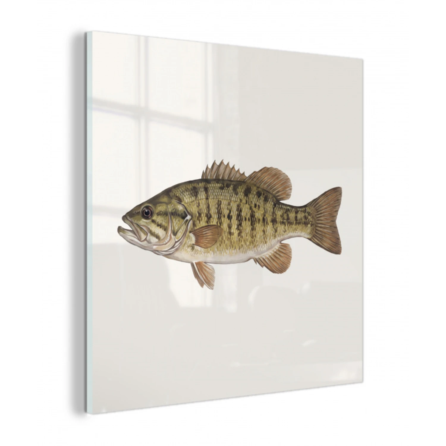 Vissen - Natuur - Vintage plexiglas 5mm klein -z3d