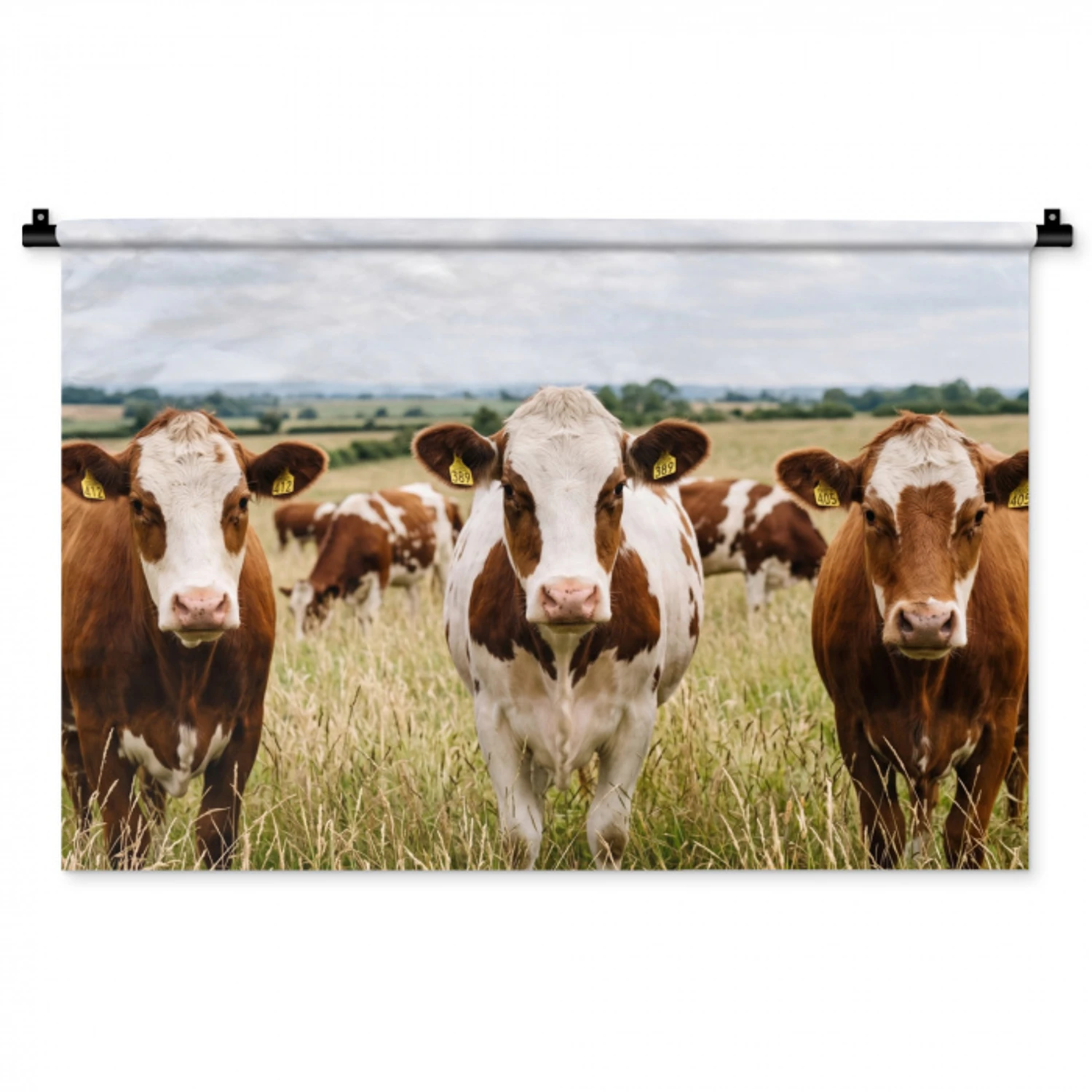 Koeien - Portret - Weide - Boerderij - Nieuwsgierig Wandkleed katoen middel -zz3d