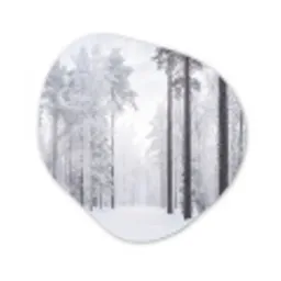 Bos - Sneeuw - Pad - Winter - Stilte Wandcirkel Organisch Forex 3mm klein -3d