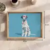 Dalmatiër - Zonnebril - Blauw Dienblad Rechthoek middel -USP_Formaat