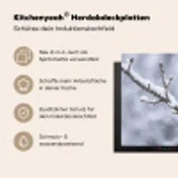 Vogel - Tak - Sneeuw - Winter Inductie beschemer met haakjes klein -ky-usp-de