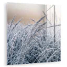 Rijp - Gras - Kristallen - Winter - Minimalistisch plexiglas 5mm klein -zzzproduct_nieuw