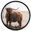Schotse hooglander - Dieren - Landelijk - Landschap - Koe - Natuur Fotolijst rond zonder passe partout klein -3d