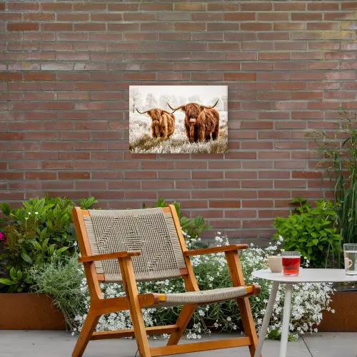 Schotse hooglander - Koe - Natuur - Winter Tuinposter op houten frame 2 cm dik klein -sfeer3