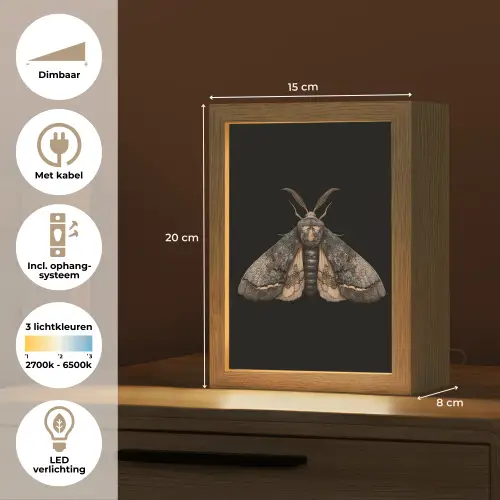 Mot - Bladachtig - Grijs Light Box met kabel (Tafellamp) klein -USP_NL