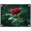 Roos - Bladeren - Dieprood tuinposter los doek klein -3d