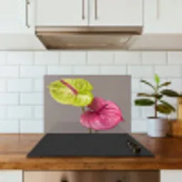 Planten - Anthurium - Groen - Roze keuken achterwand spatscherm klein -sfeer2