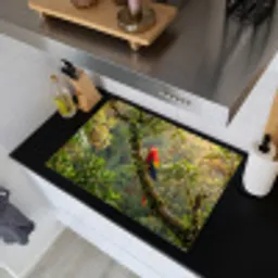Ara - Jungle - Rood Inductie beschemer met haakjes klein -sfeer1
