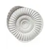 Schelp - Spiraal - Wit Wandcirkel Organisch Forex 3mm klein -3d