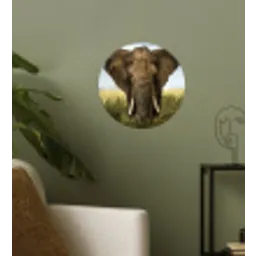 Olifant - Natuur - Gras - Dieren - Landschap Wandcirkel behangsticker klein -sfeer2