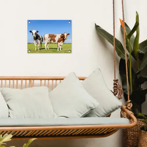 Koeien - Boerderij - Gras- Natuur - Dieren tuinposter los doek klein -sfeer7