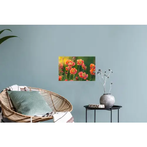 Bloemenveld - Zonnestralen - Oranje Muursticker klein -plant