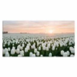 Tulpen - Landschap - Wit Muismat XXL klein -3d_leeg