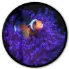 Koraal - Vis - Oranje - Zee Fotolijst rond zonder passe partout klein -3d