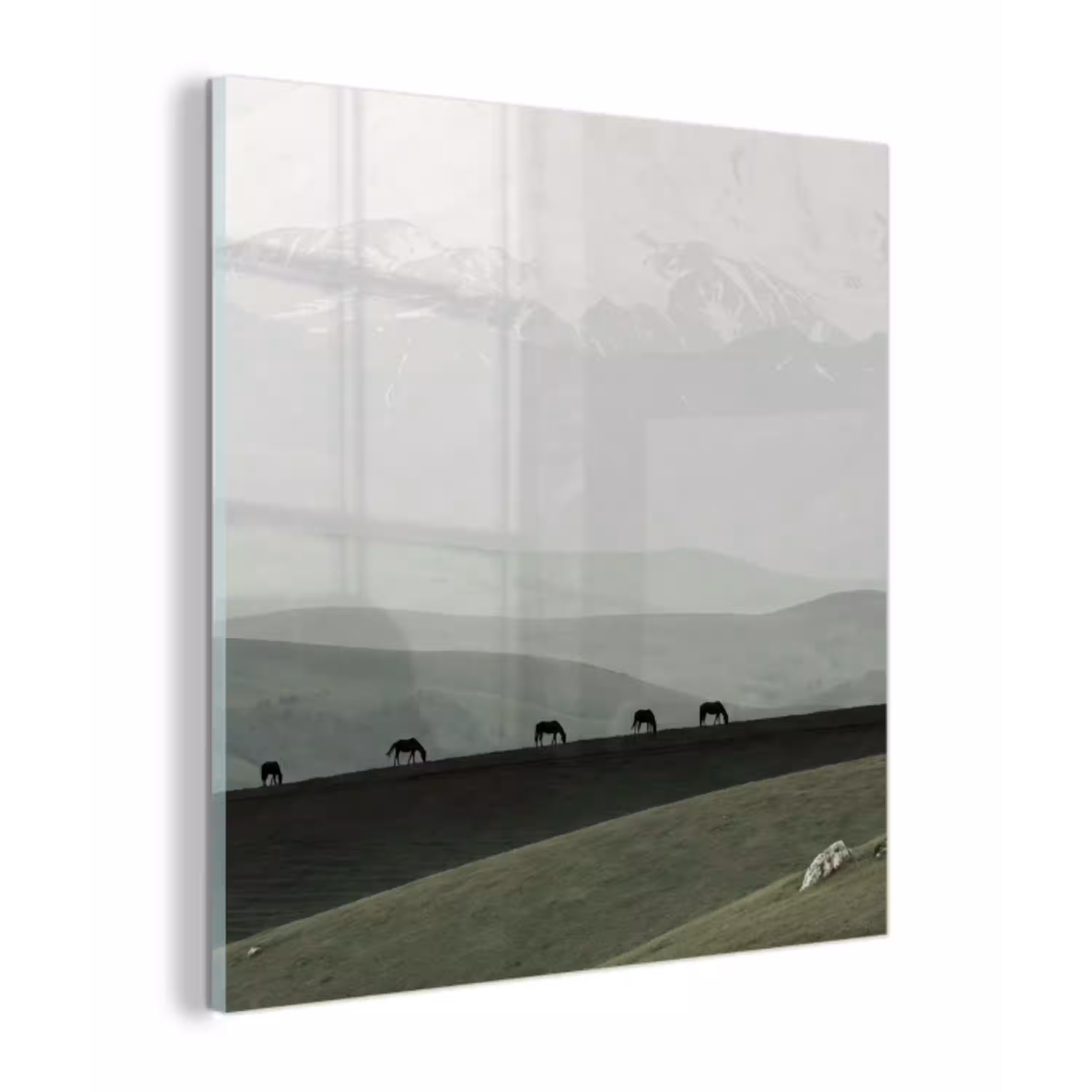 Grijs - Berg - Paarden plexiglas 5mm klein -z3d