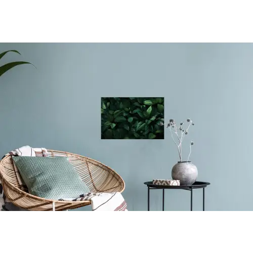 Bladeren - Ovaal - Groen - Nerven Muursticker klein -plant