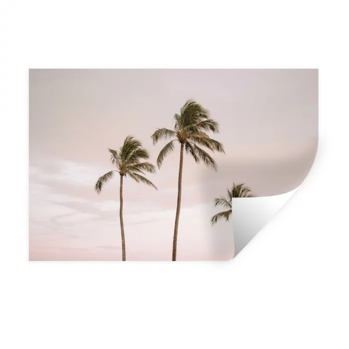 Palmbomen - Zonsondergang - Roze Muursticker klein -3d