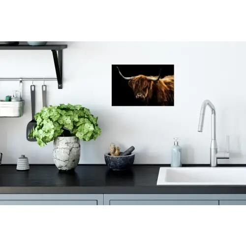 Schotse Hooglander - Horens - Zwart - Dieren - Natuur - Wild - Koe Muursticker klein -keuken