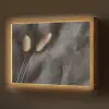 Pampasgras - Pluim - Zwart - Beige Light Box met batterij (Wandlamp) middel -z3d_website