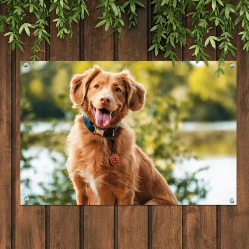 Poster de jardin