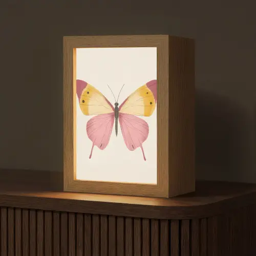 Vlinder - Illustratie - Roze Light Box met kabel (Tafellamp) klein -z3d_website