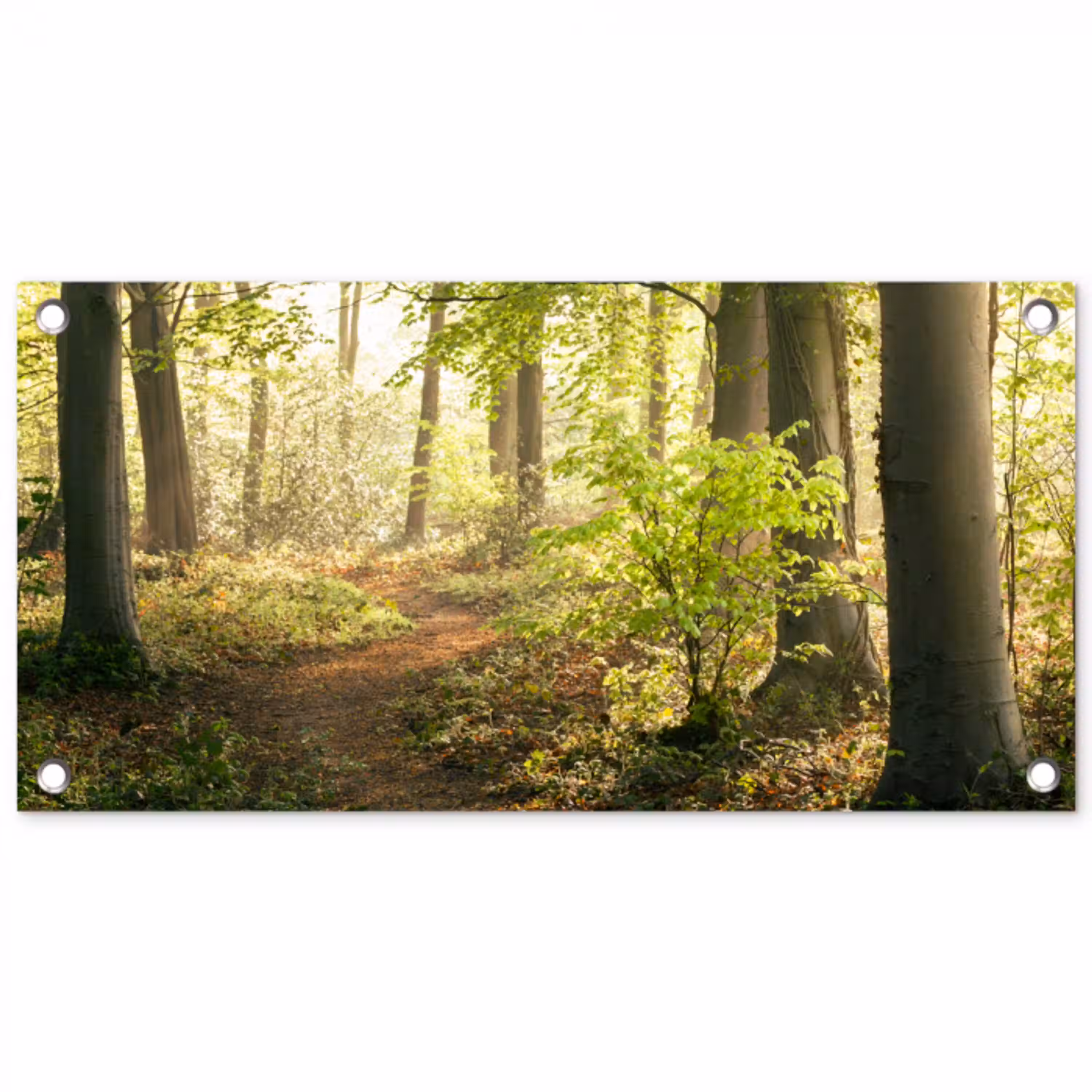 Bospad bij zonsopgang tuinposter los doek klein -3d