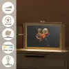 Orchidee - Doorzichtig - Bloem Light Box met kabel (Tafellamp) klein -USP_websiteoverzichtNL