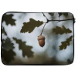 Eikel - Eikenblad - Bos - Herfst - Natuur laptophoes neopreen klein -zkaufland3dotto