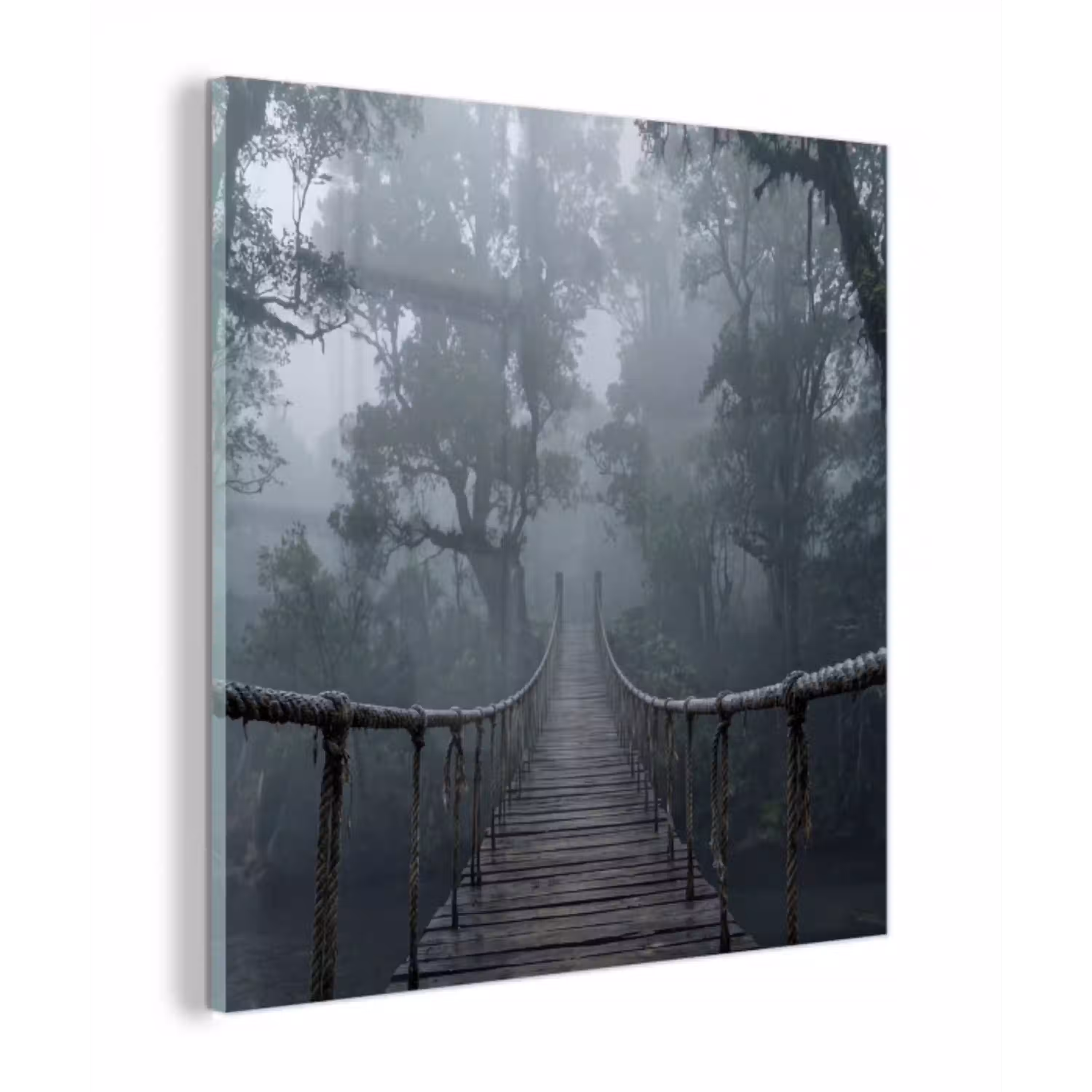 Brug - Jungle - Mist - Natuur plexiglas 5mm klein -z3d