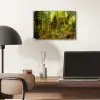 Bomen - Steen - Bos - Natuur - Planten plexiglas 5mm klein -sfeer6