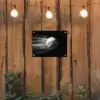 Honkbal - Wit - Vliegt tuinposter los doek klein -sfeer1