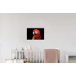 Ara - Portret - Rood Muursticker klein -kinderkamer