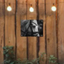 Paard - Schimmel - Portret tuinposter los doek klein -sfeer1