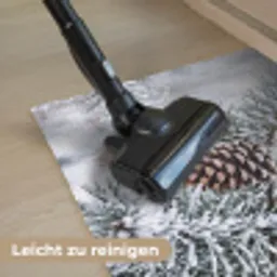 Dennenappel - Tak - Sneeuw - Winter - Sfeervol Deurmat klein -reinigen_DE